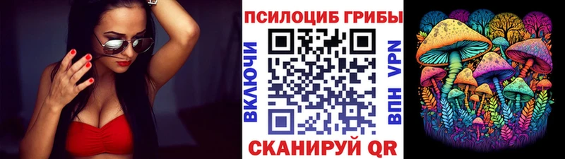 купить наркоту  Питкяранта  Псилоцибиновые грибы Psilocybine cubensis 